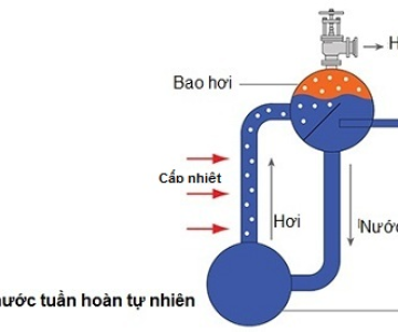 Các Loại Lò Hơi Phổ Biến Nhất & Giải Pháp Lò Hơi Công Nghiệp TPHCM